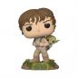 Preview: FUNKO POP! - Star Wars - 40th The Empire Strikes Back Training Luke With Yoda #363